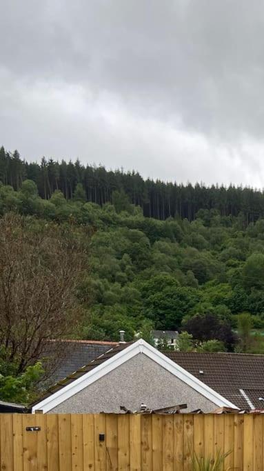 Brynhyfryd Cottage Aberaman Exteriér fotografie